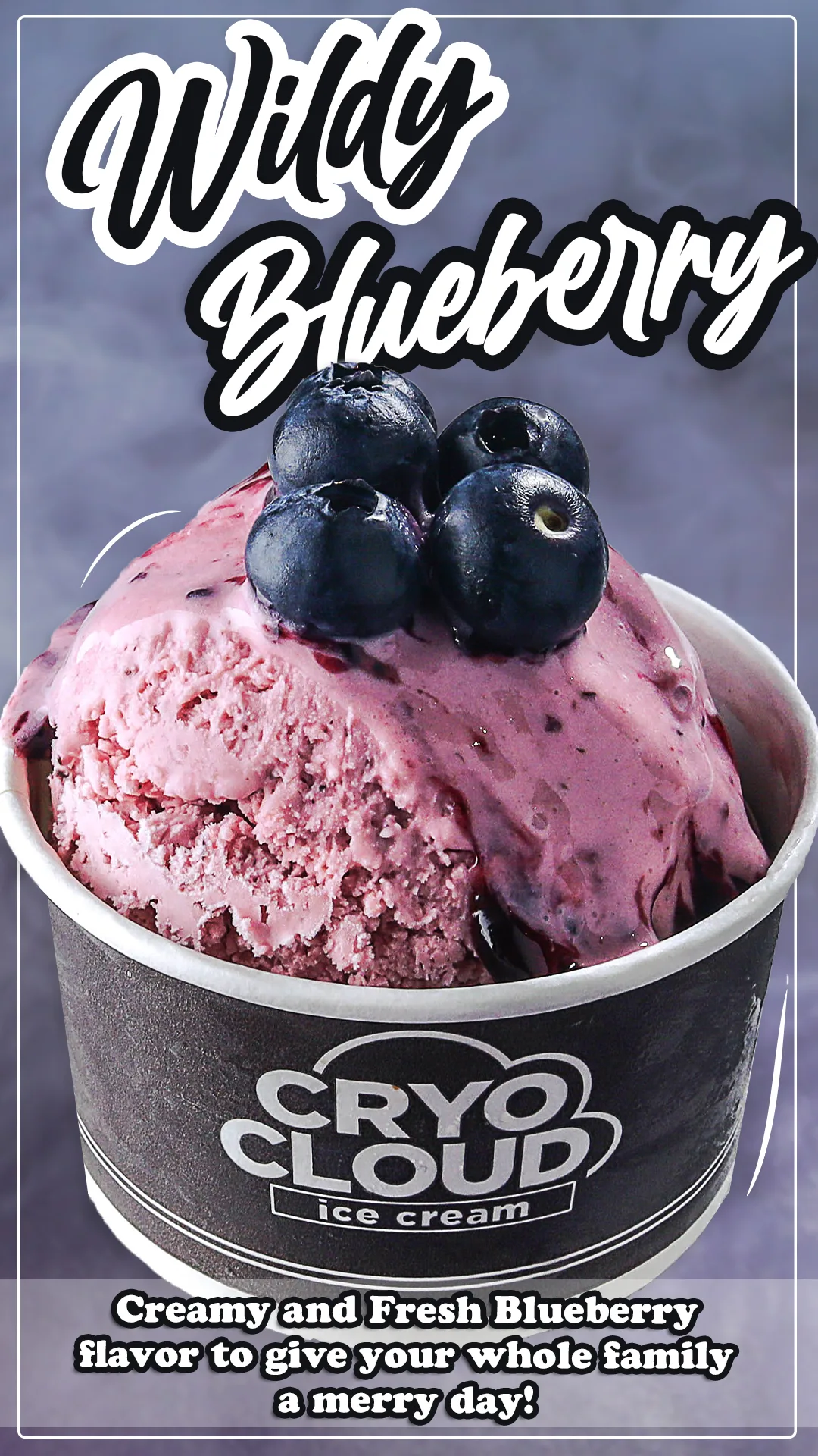 Blueberry ice cream